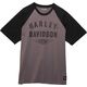 Harley-Davidson Men'S Staple Winged Raglan, Colorblock-Design-Blackened Pearl | 96336-23VM