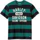 Harley-Davidson Tee-Knit, Green Stripe | 96587-23VM