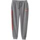 Harley-Davidson Sweatpant-Knit, Medium Grey Heather | 99196-24VM