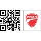 Ducati / ドゥカティ カーボン + チタン エキゾーストカバー | 96481681AA