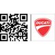 Ducati / ドゥカティ トラックフェアリングコンバージョンキット | 97180801AA