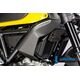 ILMBERGER / イルムバーガーカーボンパーツ ラジエーターカバー 右 マット Ducati Scrambler &apos;16 | WKR.103.DS15M.K