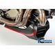 ILMBERGER / イルムバーガーカーボンパーツ ベリーパン マット - Ducati Monster 1200/1200 S | VEU.116.D12MM.K